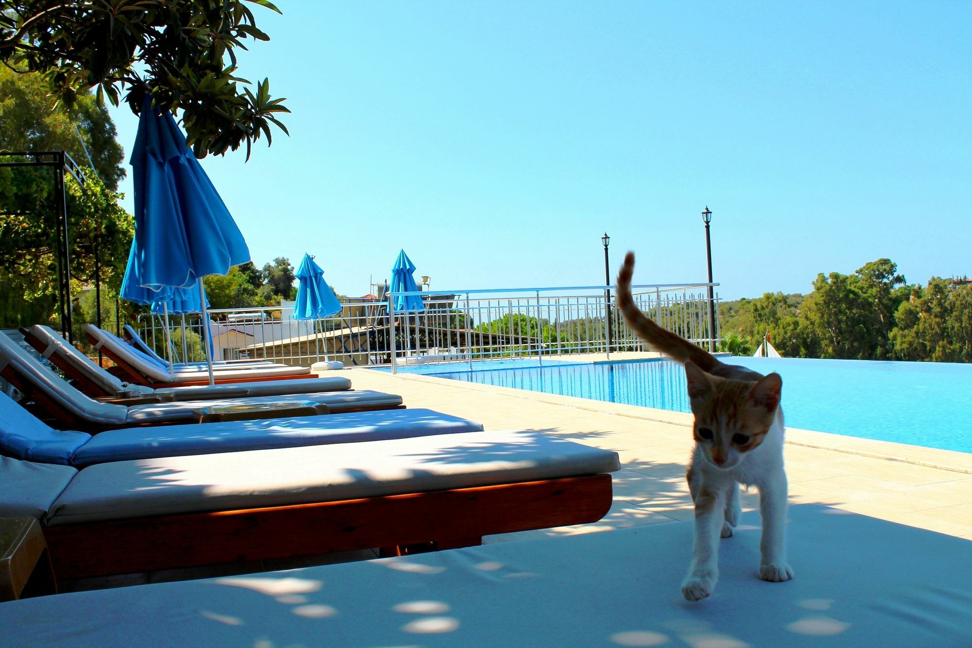 Hotel Patara Sun Club Exterior foto